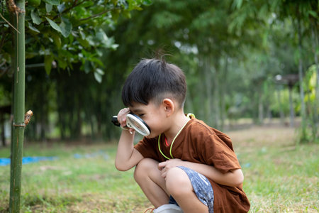Asian boy uses a magnifying glass to survey the area around the tree.の写真素材