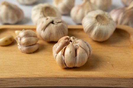 A large head of garlic lies on a wooden plate on a white background.の写真素材