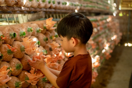 little asian boy Having fun picking mushrooms in the mushroom factory.の写真素材