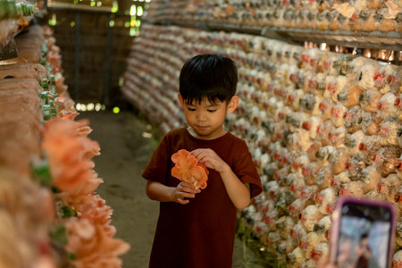 little asian boy Having fun picking mushrooms in the mushroom factory.の写真素材