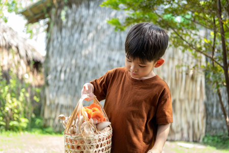 A little Asian boy is holding a basket of mushrooms.
with mushrooms in the basketの写真素材