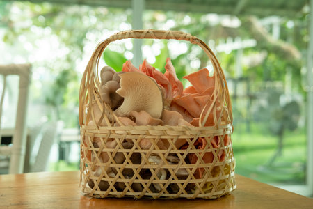Basket with various kinds of mushrooms inside placed on the tableの写真素材