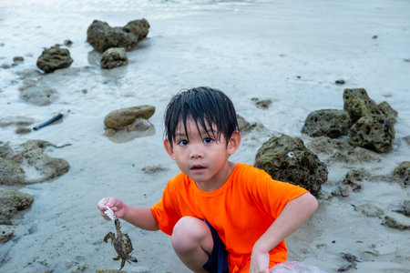 Little Asian boy catches crabs on the sea beachの写真素材