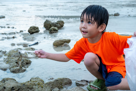 Little Asian boy catches crabs on the sea beach