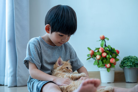 A little Asian boy lovingly holds an orange kitten.の写真素材