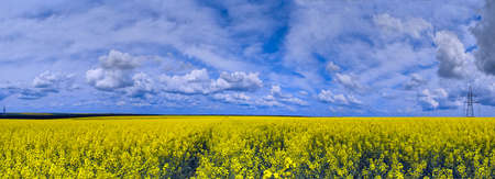 Scenery panorama