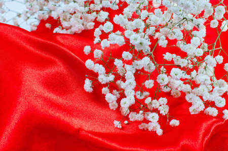 Small white flowers on red satin backgroundの写真素材
