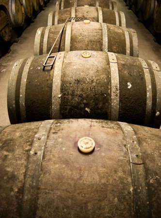 Wine barrels in cellar. Wide angle view.