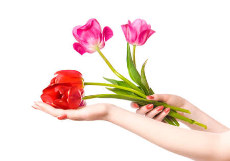 Woman hands with flowers. Isolated on white.の写真素材