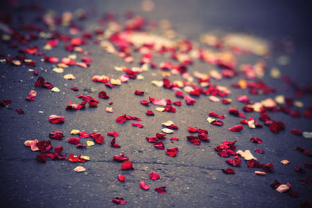Rose petals on a pavement after wedding ceremony.の写真素材