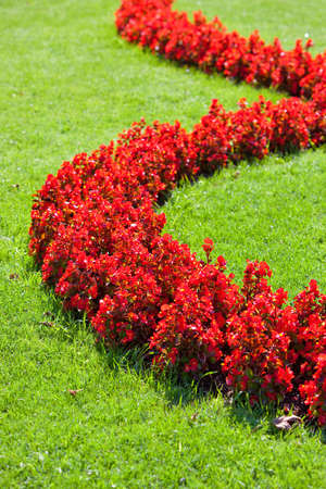 Lawn with flowers. Nature background.の写真素材