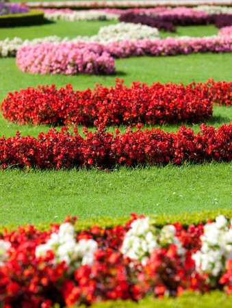 Lawn with flowers. Nature background.の写真素材