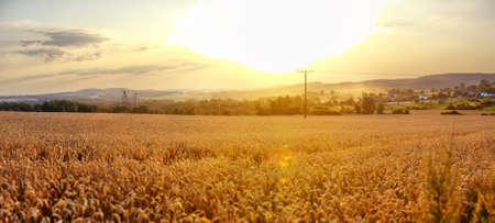 Sunset landscape in Poland. HDR panorama.