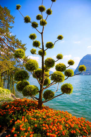 Beautiful decorative tree on lake and mountains background.の写真素材
