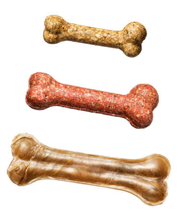 Bones for dogs. Isolated on white.
