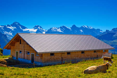 Barn on Alps high mountains background.の写真素材