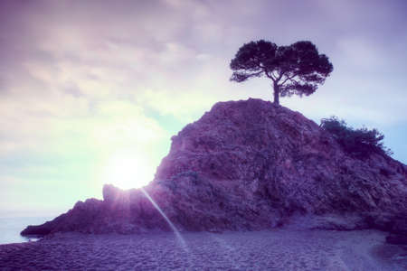 Coast with island at sunrise  Soft blue and pink tint の写真素材