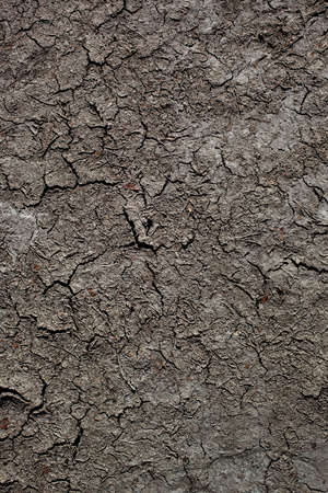 Cracked ground texture or background 