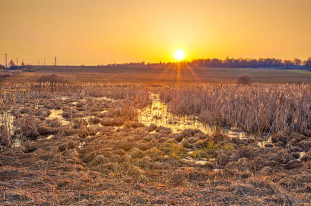Autumn sunset landscape. Pond with reeds on foreground.の写真素材