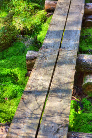 Wooden path in Finland forest closeup view.の写真素材