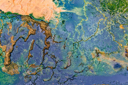 Seaweed and colored bacteria on hot water surfaceの写真素材