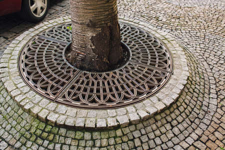 Metallic ring and stone tiles around tree in city. Urban life details concept.の写真素材