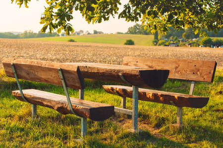 Table and bench for tourists at summer field under tree