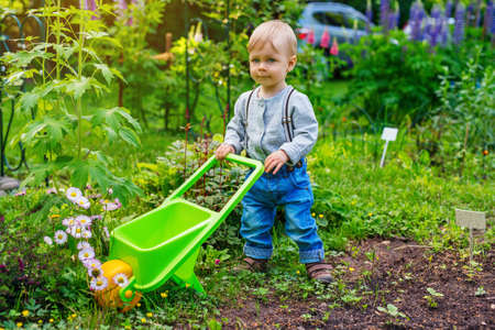 One year cute child in summer garden with wheelbarrowの写真素材