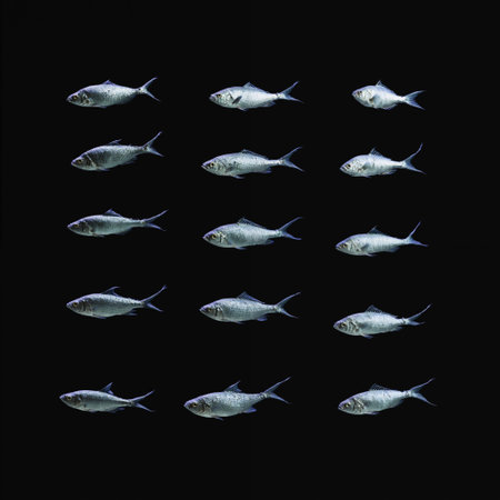 fishes atlas asset collection isolated on black background.の素材