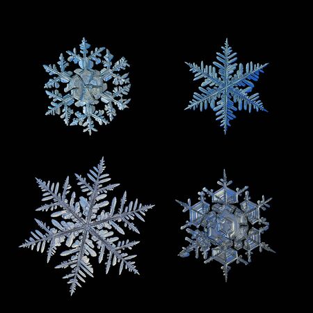 Set with four snowflakes, isolated on black background. This is macro photo of real snow crystals: big stellar dendrites and fernlike dendrites with complex structure.の写真素材