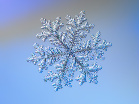 Snowflake sparkling on smooth gradient background. Macro photo of real snow crystal: large stellar dendrite with complex elegant shape, perfect hexagonal symmetry, glossy relief surface. long ornate arms and beautiful inner pattern.の写真素材