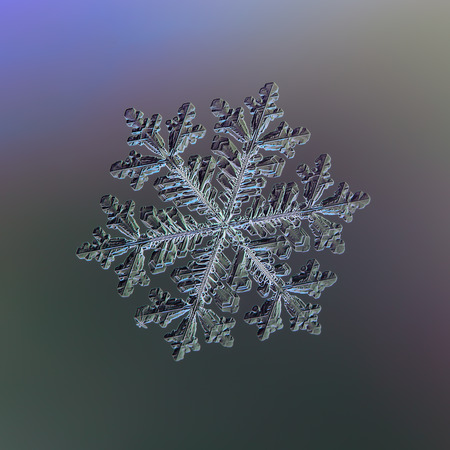 Snowflake sparkling on smooth gradient background. Macro photo of real snow crystal: large stellar dendrite with complex elegant shape, perfect hexagonal symmetry, glossy relief surface. long ornate arms and beautiful inner pattern.の写真素材