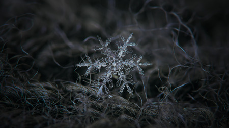 Snowflake glowing on dark textured background. Macro photo of real snow crystal: large stellar dendrite with complex elegant shape, perfect hexagonal symmetry, glossy relief surface. long ornate arms and beautiful inner pattern.の写真素材
