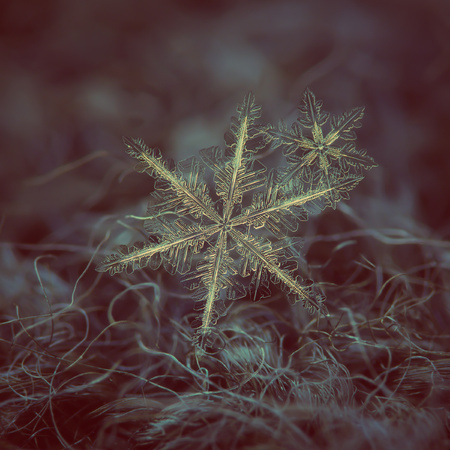 Two snowflakes glowing on dark textured background.
