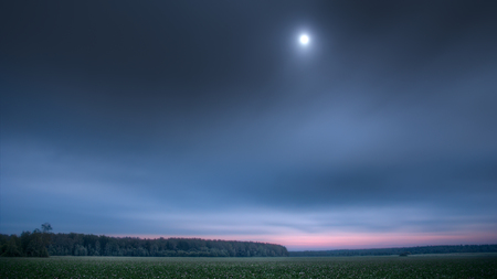 Tranquil landscape with large, flat clover field in twilight, under full moon, seen through light clouds, with distant dark forest. This is high dynamic range photo, combined from four exposures.の写真素材