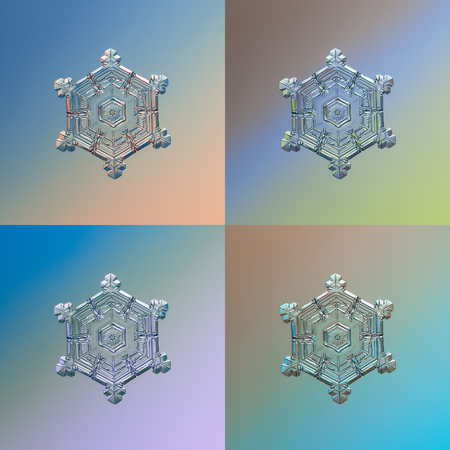 Set with four color variants of real snowflake, glittering on smooth gradient background: small snow crystal of stellar dendrite type with fine hexagonal symmetry and glossy relief surface.の写真素材