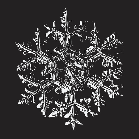 White snowflake on black background. This vector illustration based on macro photo of real snowflake: large stellar dendrite snow crystal with massive hexagonal center and ornate arms.のイラスト素材
