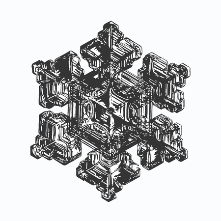 Black snowflake on white background. This vector illustration based on macro photo of real snow crystal: beautiful star plate with fine hexagonal symmetry, six short, broad arms and glossy surface.のイラスト素材