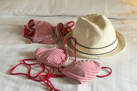 bikiniの写真素材