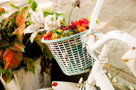 bicycle has beautiful pink flowers in a basket on the front of the bikeの写真素材