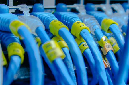 CLose-up LAN patch cord and LAN Management