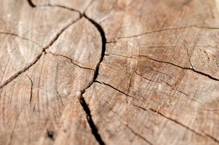 Abstract crack wood ancient : spiral style backgroundの写真素材