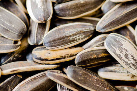 organic sunflower seed for background