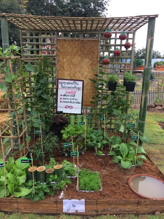 Herb gardenの写真素材