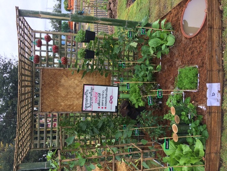 Vegetable garden for meのeditorial素材