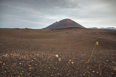 Volcano and lava desert, Lanzarote, Canary islands