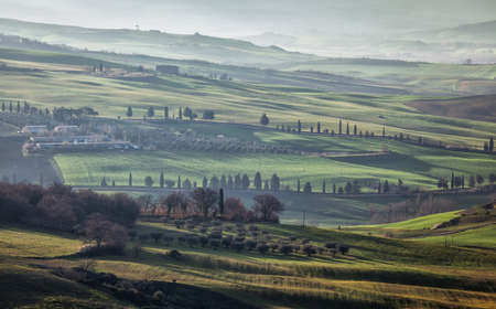 Farm of olive groves and vineyards in foggy morning on Val D'Orcia, Toscana, Italyの写真素材
