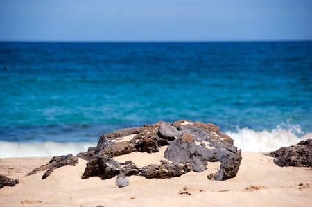 rock detail with ocean in the backgroud, playa mujeres, lanzarote, canary islandsの写真素材
