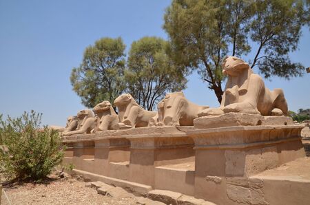 Alley of the sphinxs Karnak Luxor