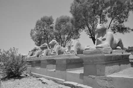 ALLEY OF THE SPHINX TEMPLE OF KARNAKの写真素材